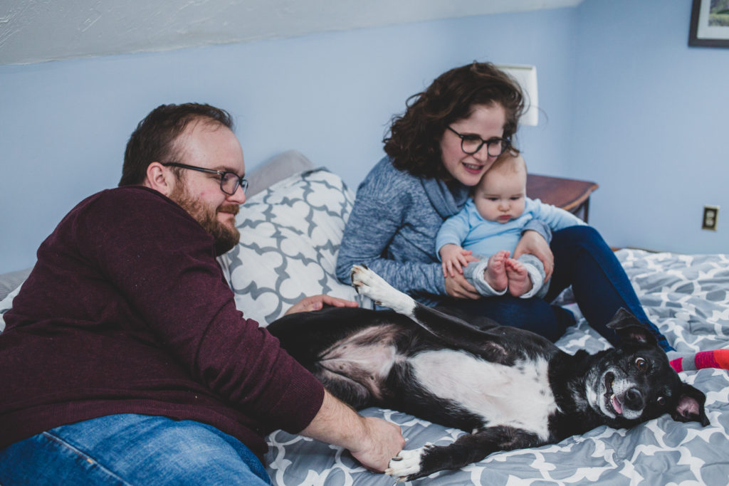 Moss Family on bed lifestyle session, silly dog